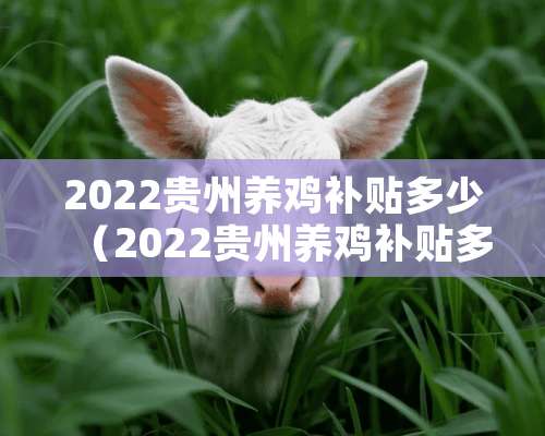 2022贵州养鸡补贴多少（2022贵州养鸡补贴多少钱）