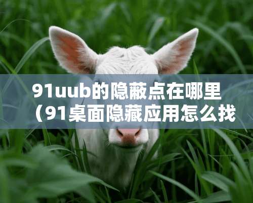 91uub的隐蔽点在哪里（91桌面隐藏应用怎么找）