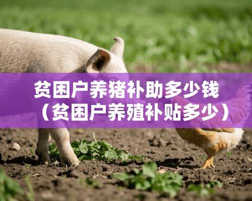 贫困户养猪补助多少钱（贫困户养殖补贴多少）