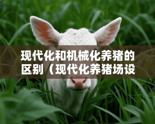 现代化和机械化养猪的区别（现代化养猪场设备图片）