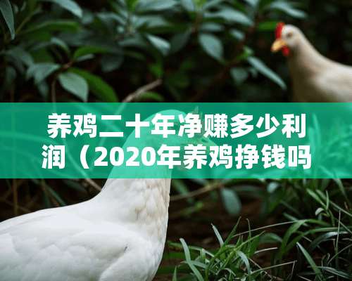 养鸡二十年净赚多少利润（2020年养鸡挣钱吗）