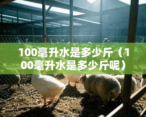 100毫升水是多少斤（100毫升水是多少斤呢）