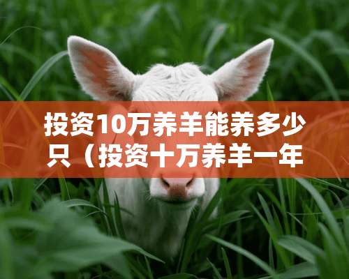 投资10万养羊能养多少只（投资十万养羊一年挣多少）