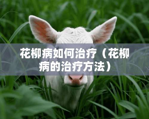 花柳病如何治疗（花柳病的治疗方法）