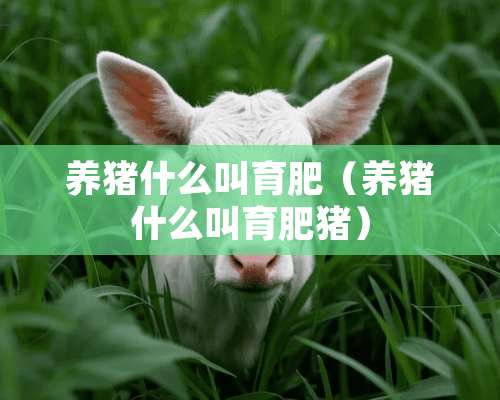 养猪什么叫育肥（养猪什么叫育肥猪）