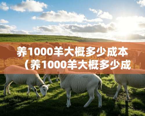 养1000羊大概多少成本（养1000羊大概多少成本呢）