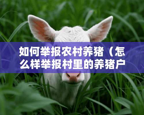 如何举报农村养猪（怎么样举报村里的养猪户）