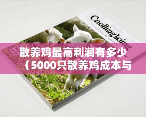 散养鸡最高利润有多少（5000只散养鸡成本与利润）