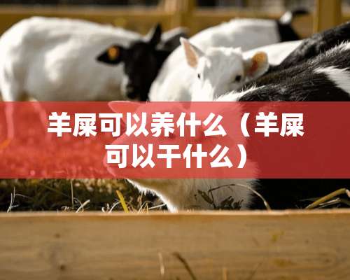 羊屎可以养什么（羊屎可以干什么）