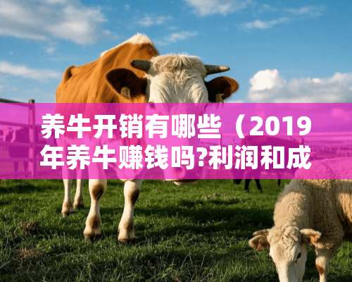 养牛开销有哪些（2019年养牛赚钱吗?利润和成本大概是多少?）