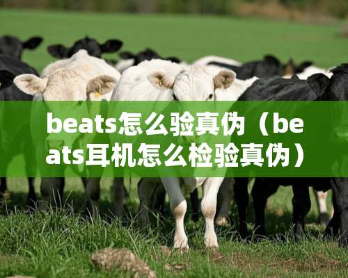 beats怎么验真伪（beats耳机怎么检验真伪）