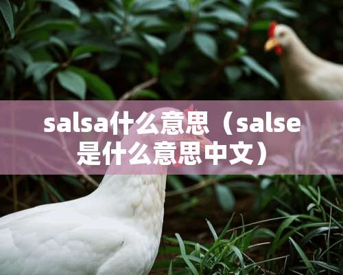 salsa什么意思（salse是什么意思中文）