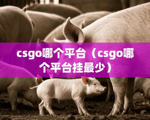 csgo哪个平台（csgo哪个平台挂最少）