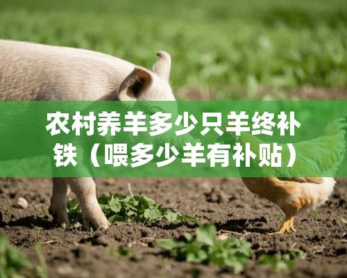 农村养羊多少只羊终补铁（喂多少羊有补贴）