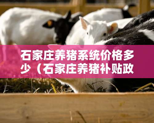 石家庄养猪系统价格多少（石家庄养猪补贴政策2020标准）