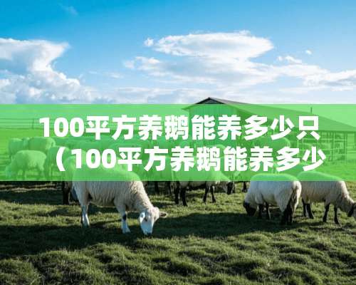 100平方养鹅能养多少只（100平方养鹅能养多少只鸡）