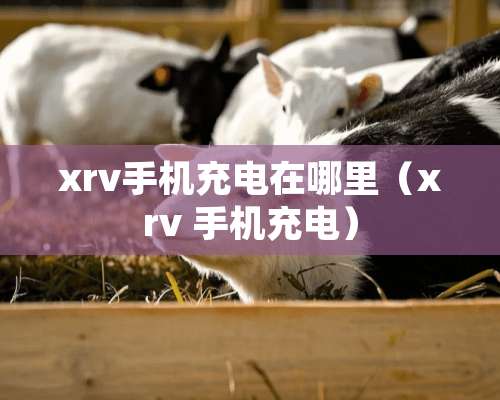 xrv手机充电在哪里（xrv 手机充电）