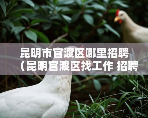 昆明市官渡区哪里招聘（昆明官渡区找工作 招聘）