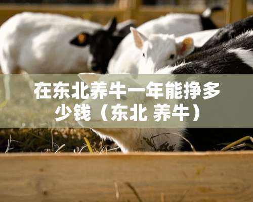 在东北养牛一年能挣多少钱（东北 养牛）