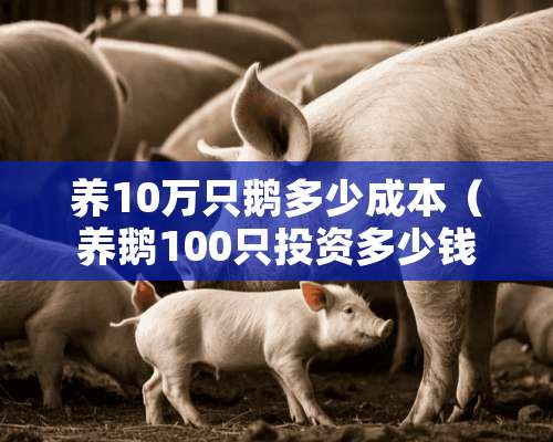 养10万只鹅多少成本（养鹅100只投资多少钱）