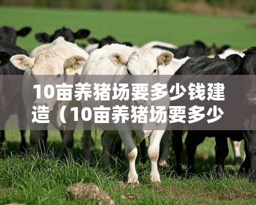 10亩养猪场要多少钱建造（10亩养猪场要多少钱建造费用）