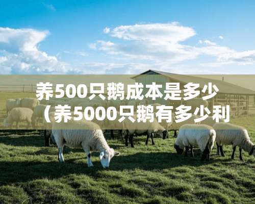 养500只鹅成本是多少（养5000只鹅有多少利润）