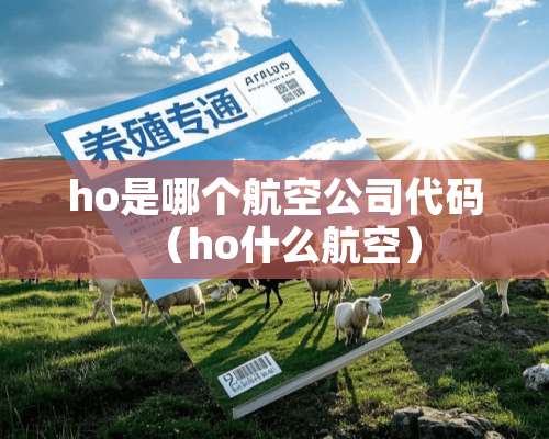 ho是哪个航空公司代码（ho什么航空）