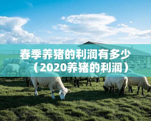 春季养猪的利润有多少（2020养猪的利润）