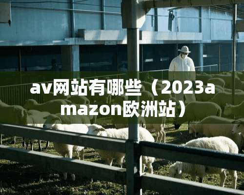 av网站有哪些（2023amazon欧洲站）