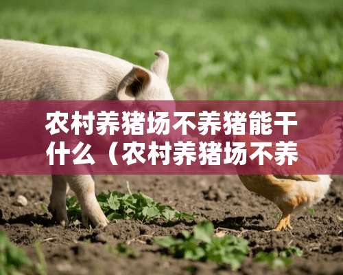 农村养猪场不养猪能干什么（农村养猪场不养猪能干什么呢）