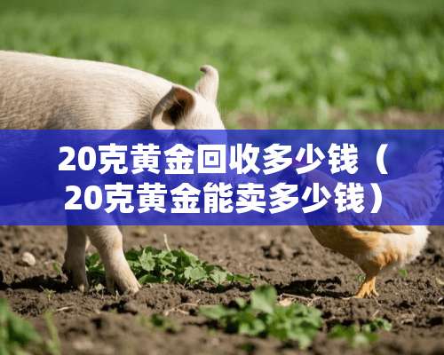 20克黄金回收多少钱（20克黄金能卖多少钱）