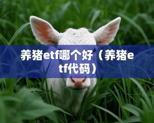 养猪etf哪个好（养猪etf代码）