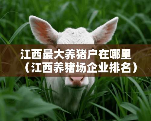 江西最大养猪户在哪里（江西养猪场企业排名）