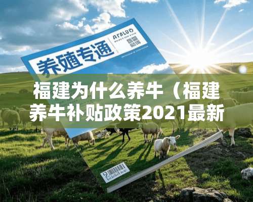 福建为什么养牛（福建养牛补贴政策2021最新标准）