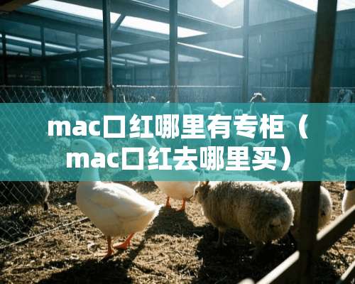 mac口红哪里有专柜（mac口红去哪里买）