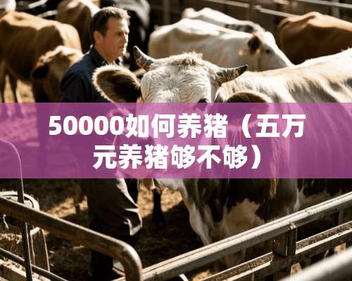 50000如何养猪（五万元养猪够不够）