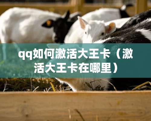 qq如何激活大王卡（激活大王卡在哪里）