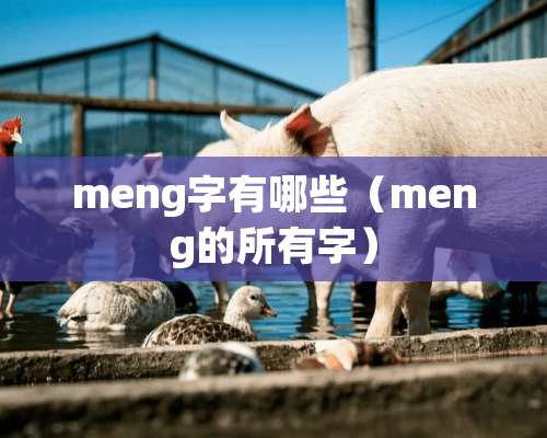 meng字有哪些（meng的所有字）