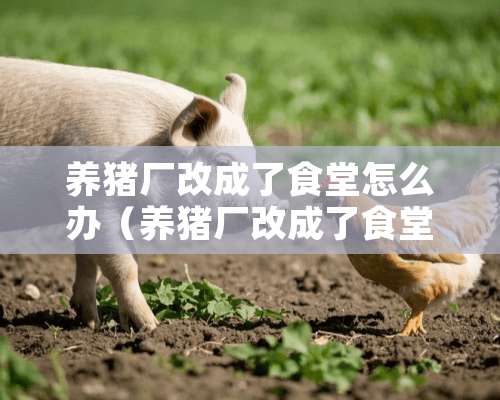 养猪厂改成了食堂怎么办（养猪厂改成了食堂怎么办理）