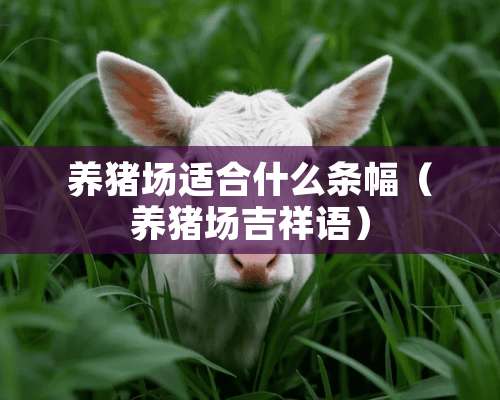 养猪场适合什么条幅（养猪场吉祥语）