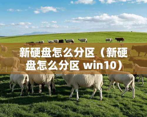 新硬盘怎么分区（新硬盘怎么分区 win10）