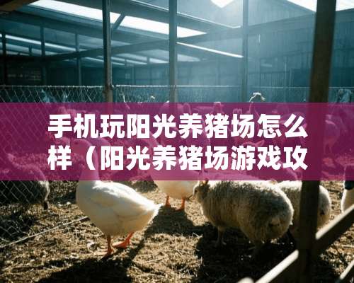 手机玩阳光养猪场怎么样（阳光养猪场游戏攻略秘籍）