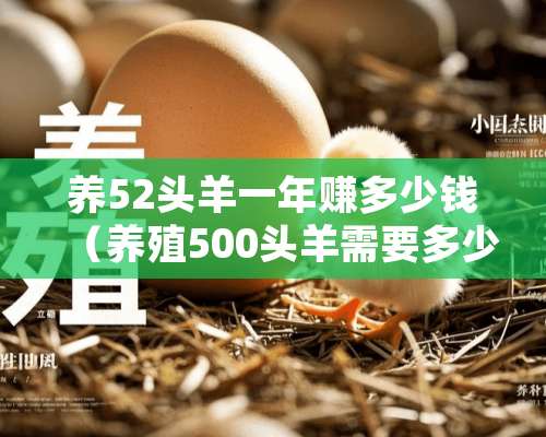 养52头羊一年赚多少钱（养殖500头羊需要多少钱）