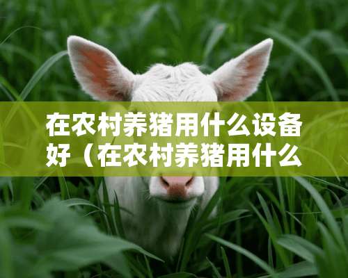 在农村养猪用什么设备好（在农村养猪用什么设备好些）