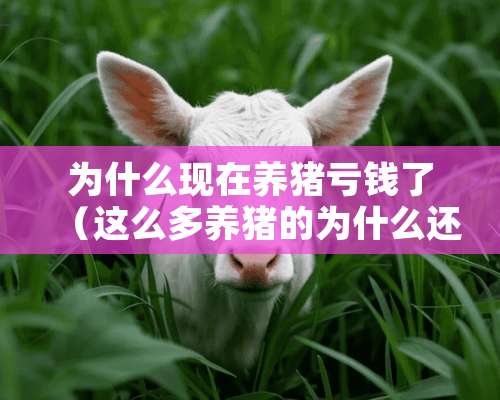 为什么现在养猪亏钱了（这么多养猪的为什么还不下跌）