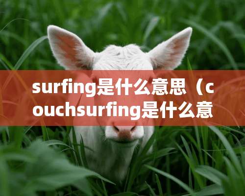 surfing是什么意思（couchsurfing是什么意思）