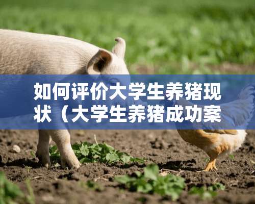 如何评价大学生养猪现状（大学生养猪成功案例）