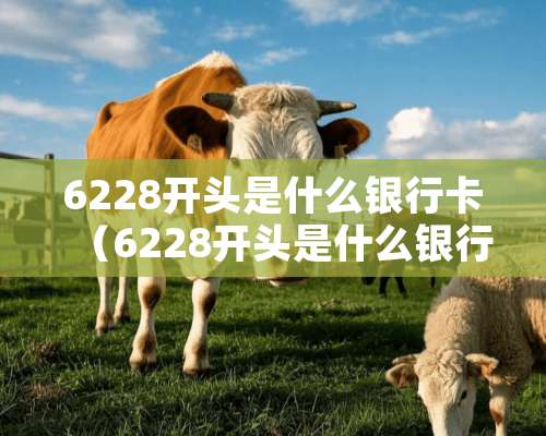 6228开头是什么***（6228开头是什么***卡号呢怎么查）