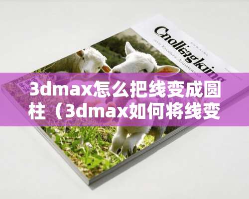 3dmax怎么把线变成圆柱（3dmax如何将线变成圆柱）