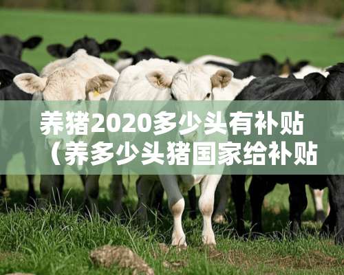 养猪2020多少头有补贴（养多少头猪国家给补贴2020）